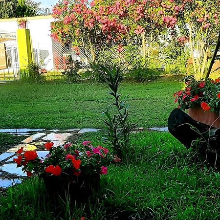 Appartement Kolonia E Artistave à Velipojë Extérieur photo