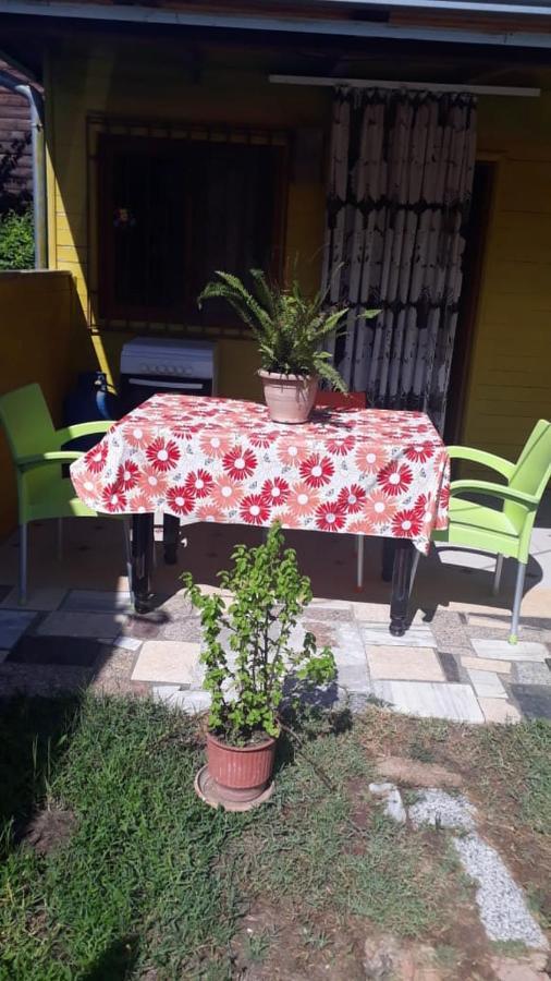 Appartement Kolonia E Artistave à Velipojë Extérieur photo