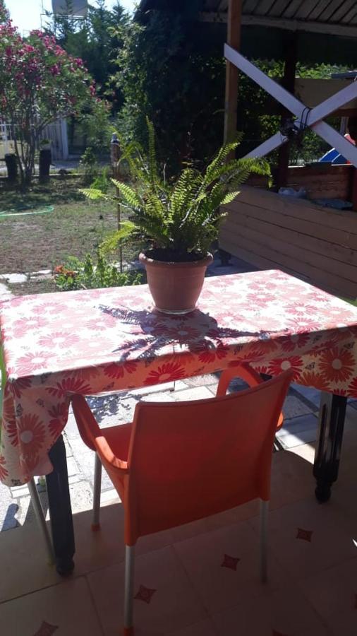 Appartement Kolonia E Artistave à Velipojë Extérieur photo