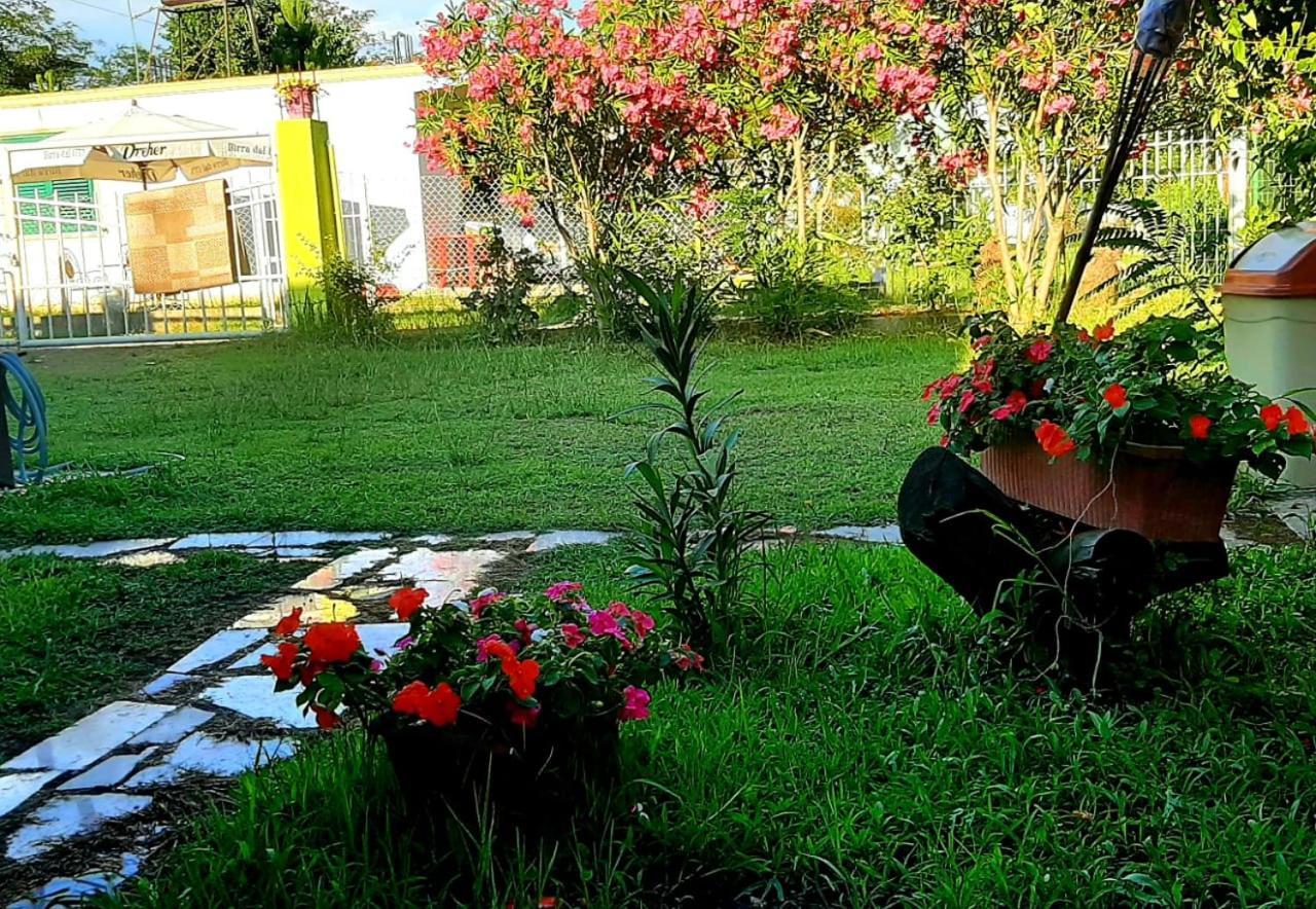 Appartement Kolonia E Artistave à Velipojë Extérieur photo