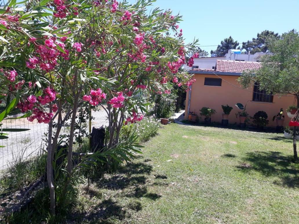 Appartement Kolonia E Artistave à Velipojë Extérieur photo